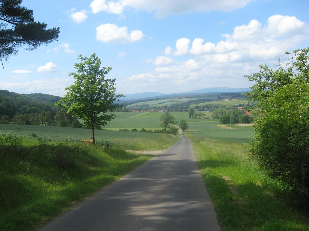 Gardenview Apartments & Suites Bei Bad Kissingen Nüdlingen Eksteriør bilde